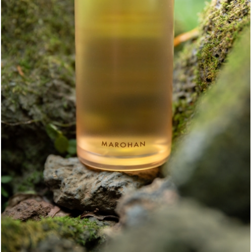 Marohan山茶屏障核心精華